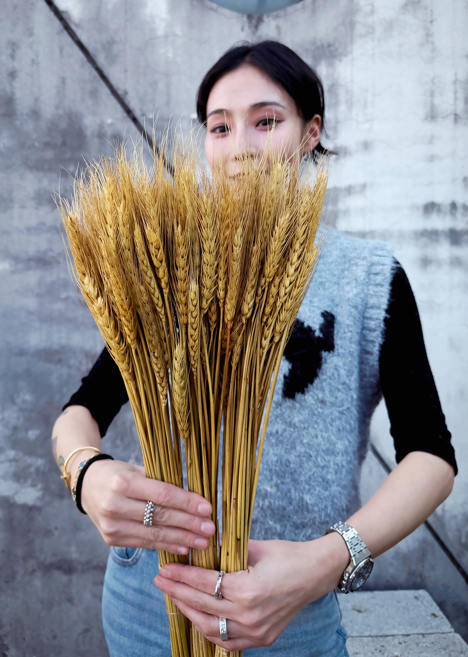 大小麥(義大利)