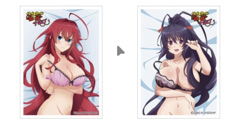 魂卡套 惡魔高校DXD ハイスクールD×D HERO スリーブ