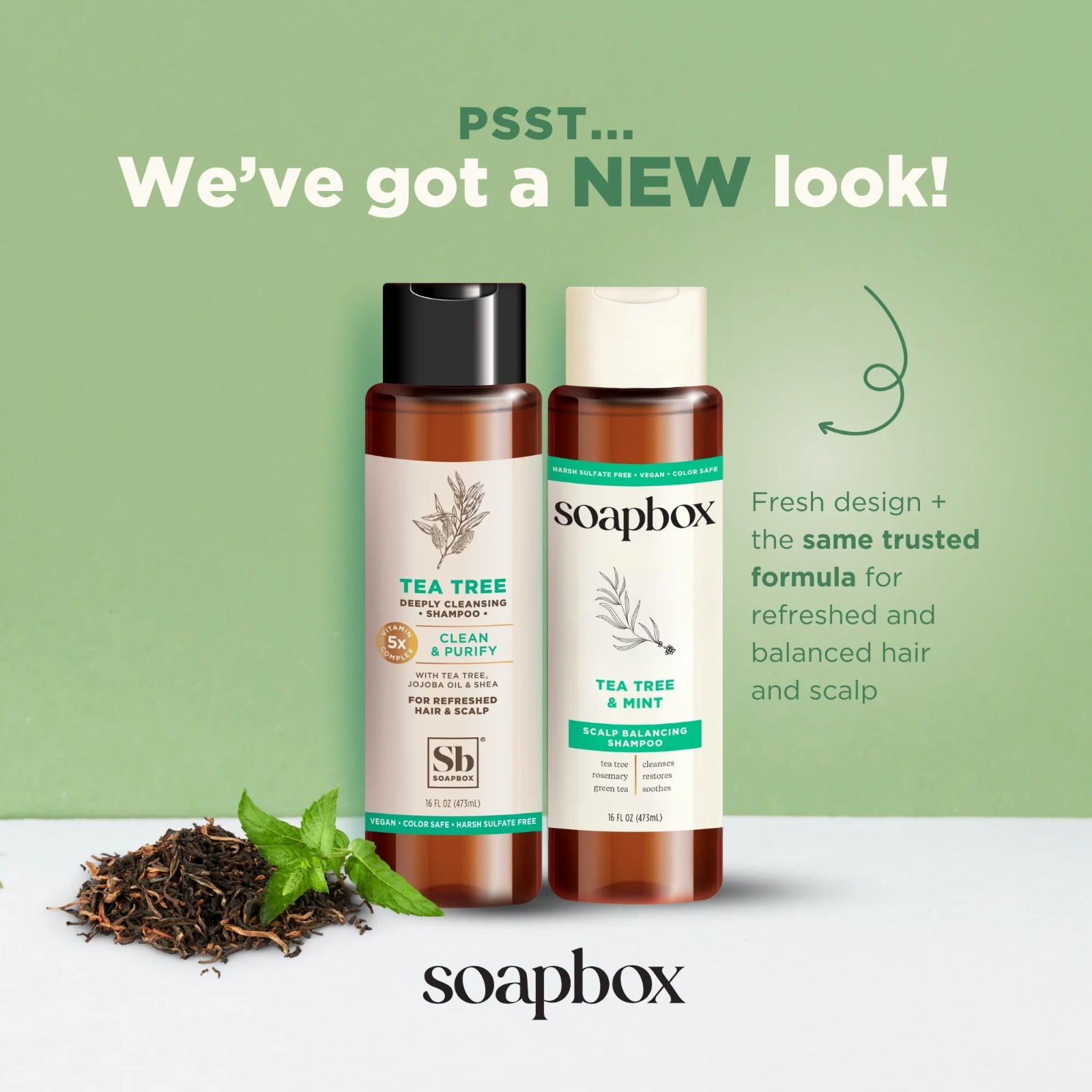 Soapbox Tea Tree & Mint Scalp Balancing Shampoo