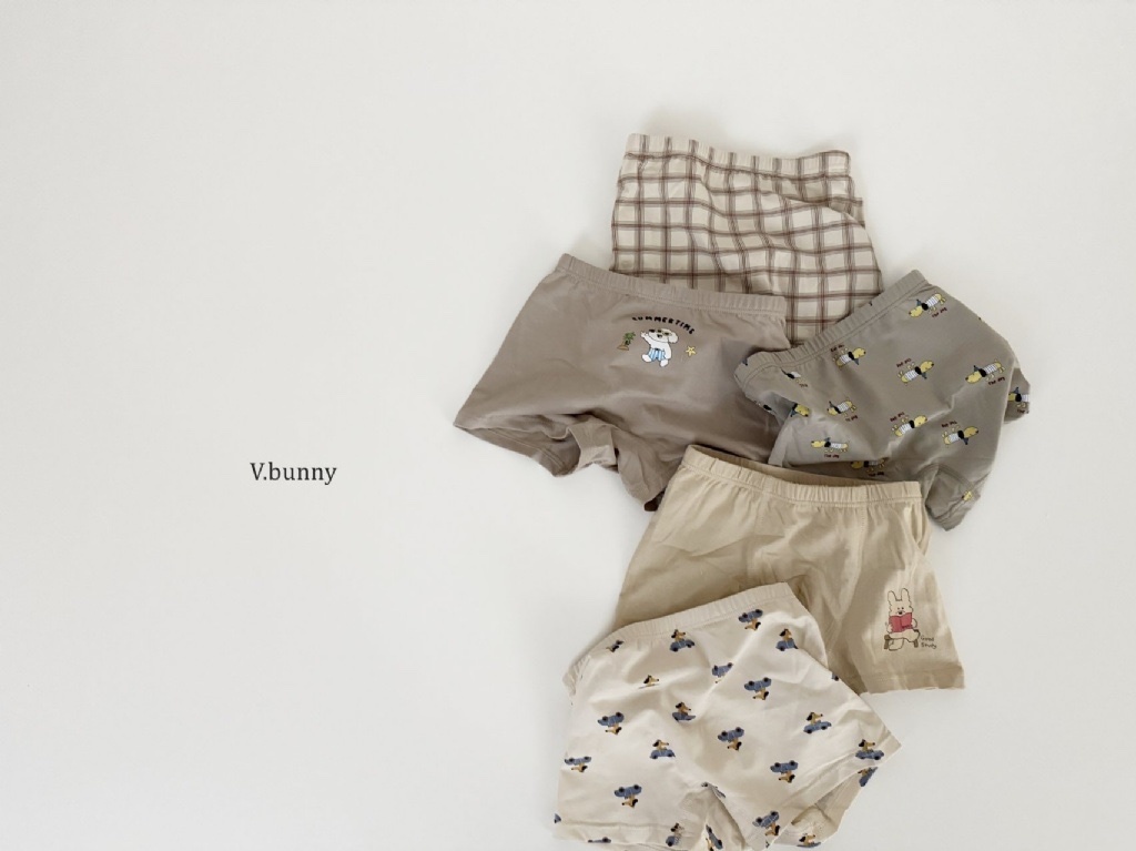 正韓春Vbunny 度假狗狗格紋內褲組