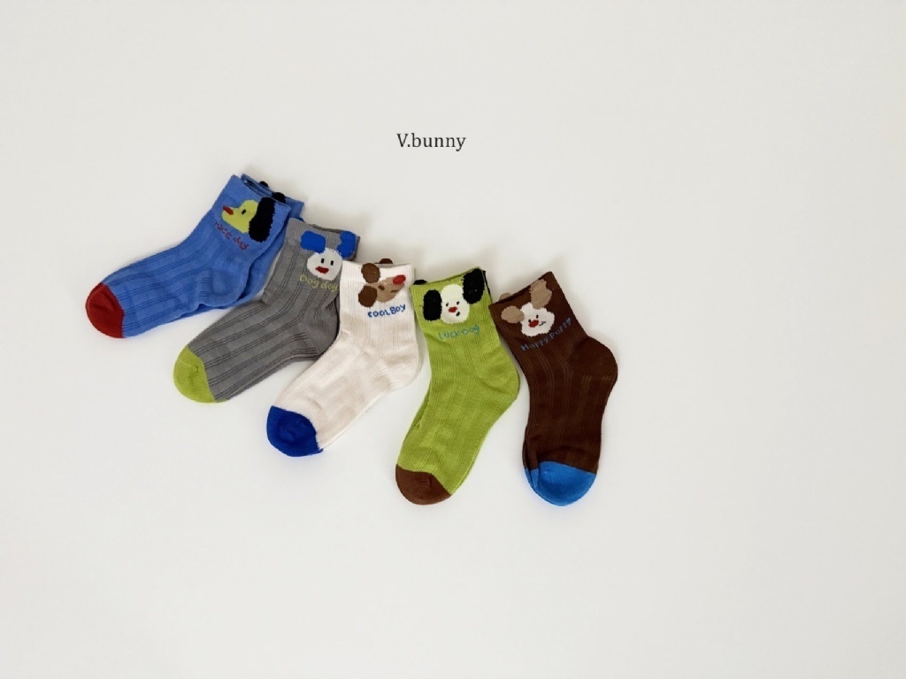 正韓春Vbunny 可愛狗狗襪子組
