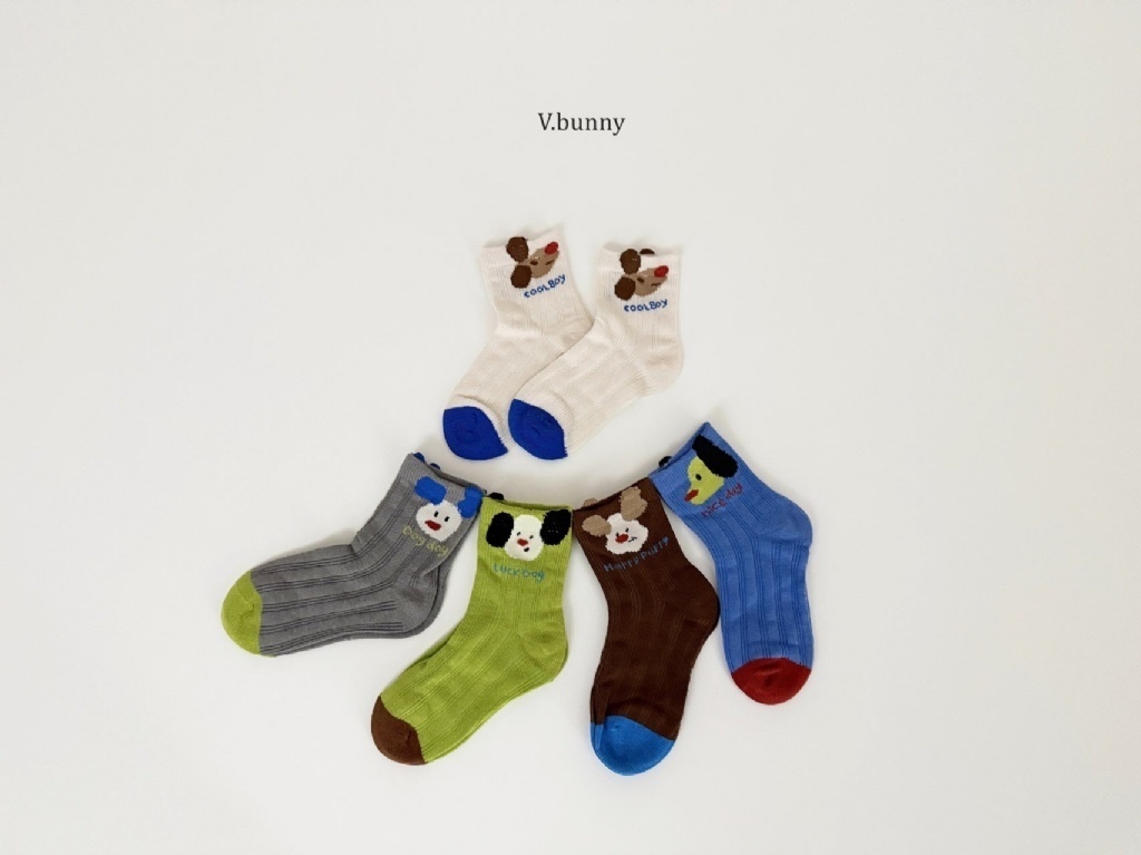 正韓春Vbunny 可愛狗狗襪子組