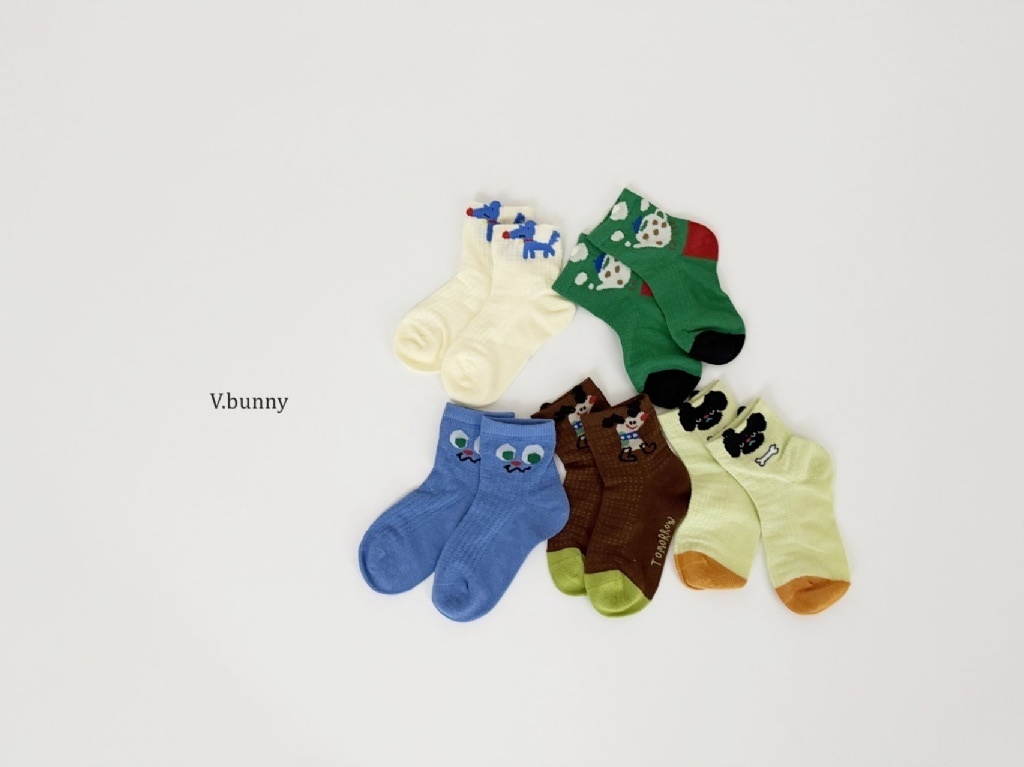 正韓春Vbunny 大眼狗狗襪子組