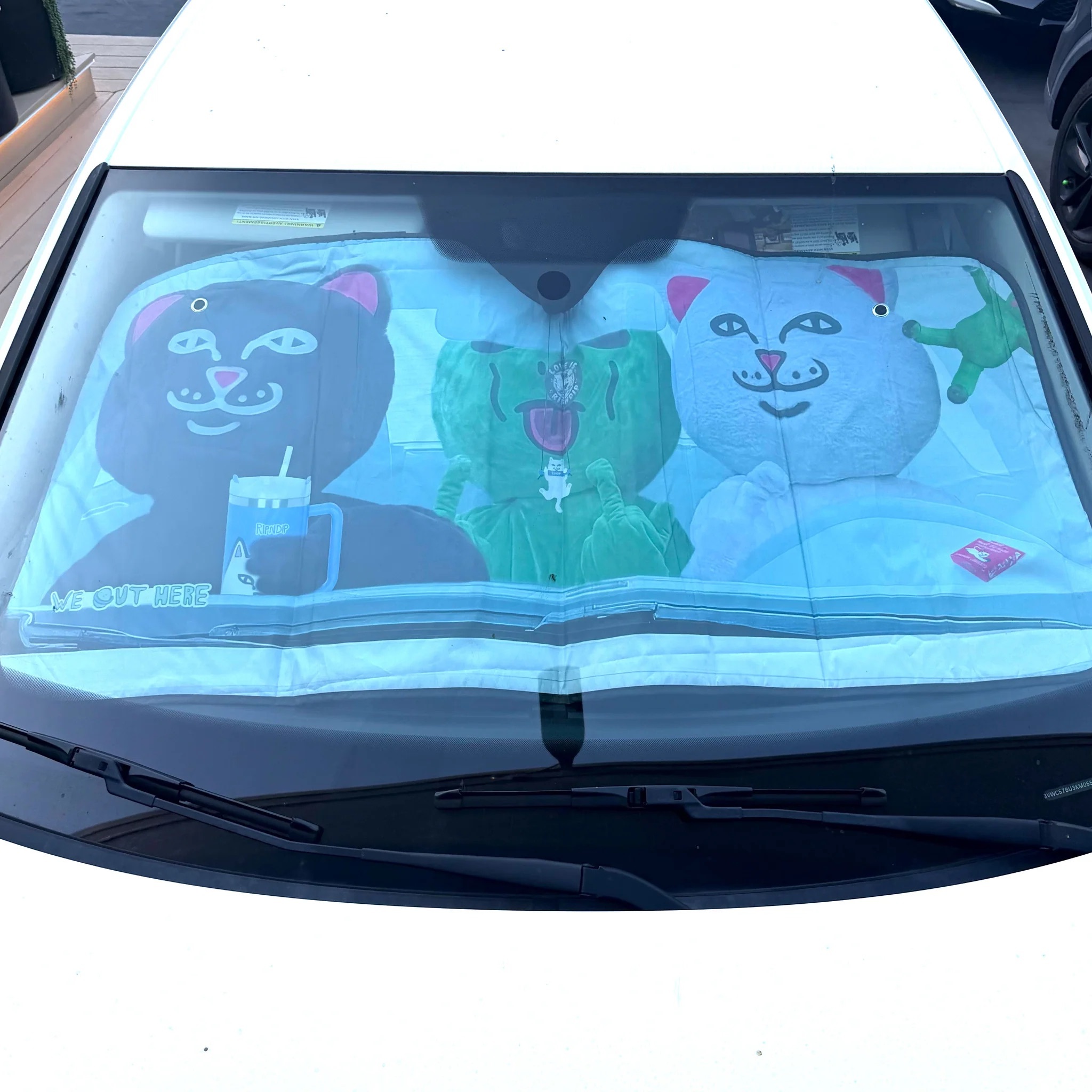REAL PHOTO WINDOW SHADE BY RIPNDIP