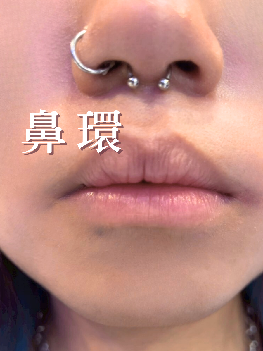 鼻翼環與鼻中膈環