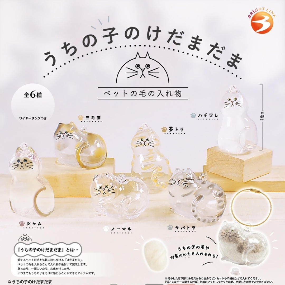 #現貨 🇯🇵日本 我家毛孩透明吊飾 貓咪扭蛋 隨機款 盲盒