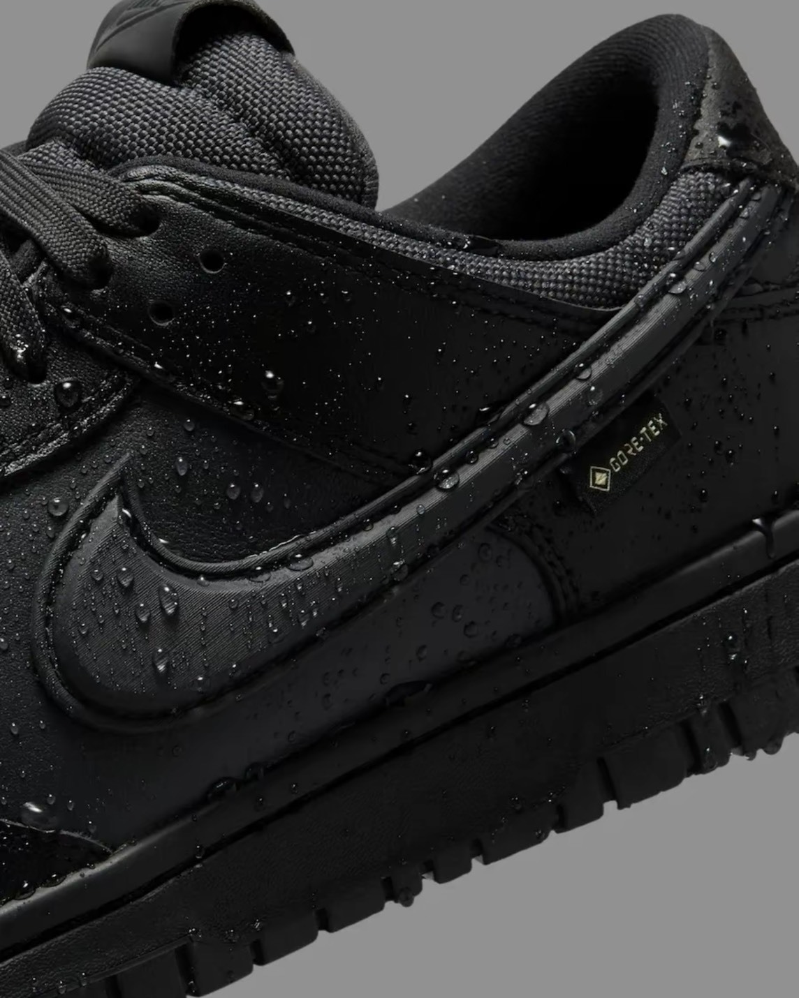 【預購】NIKE DUNK LOW GORE-TEX 黑色 HQ2053001