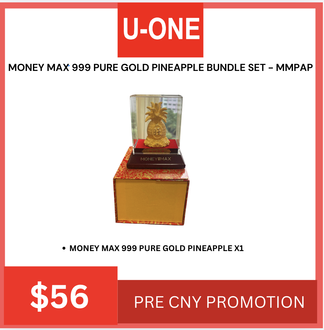 MONEY MAX 999 PURE GOLD PINEAPPLE BUNDLE SET - MMPAP