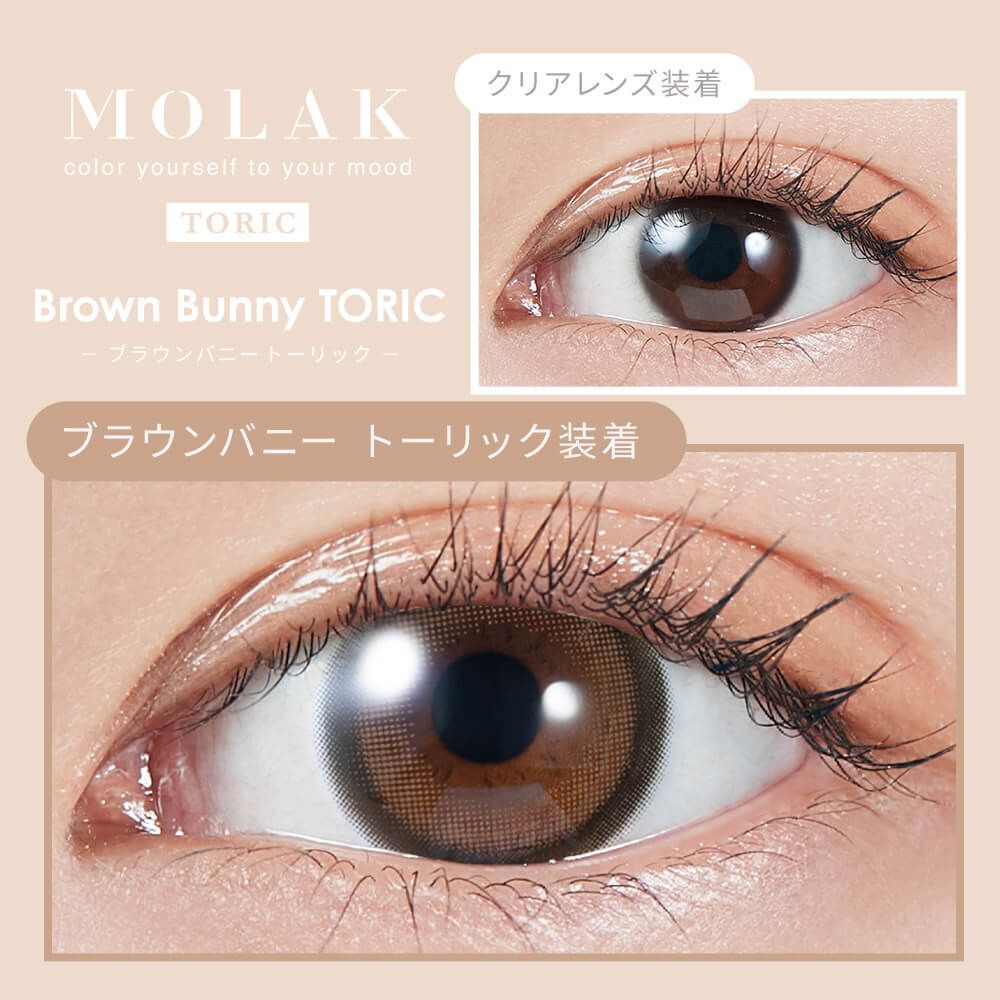[散光日拋] PIA MOLAK 1 Day Toric Brown Bunny 散光隱形眼鏡｜每盒10片
