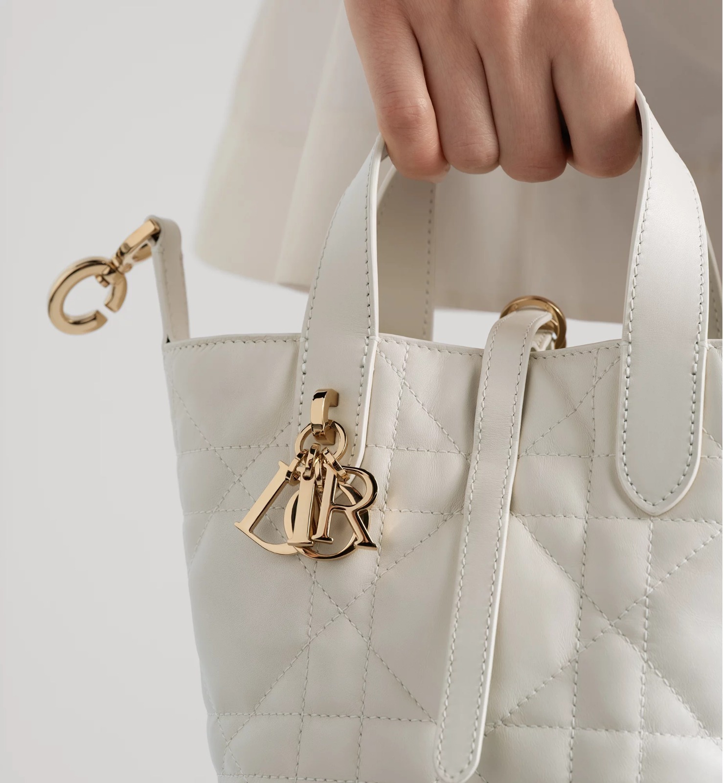 Dior Toujours Vertical Nano Tote Bag