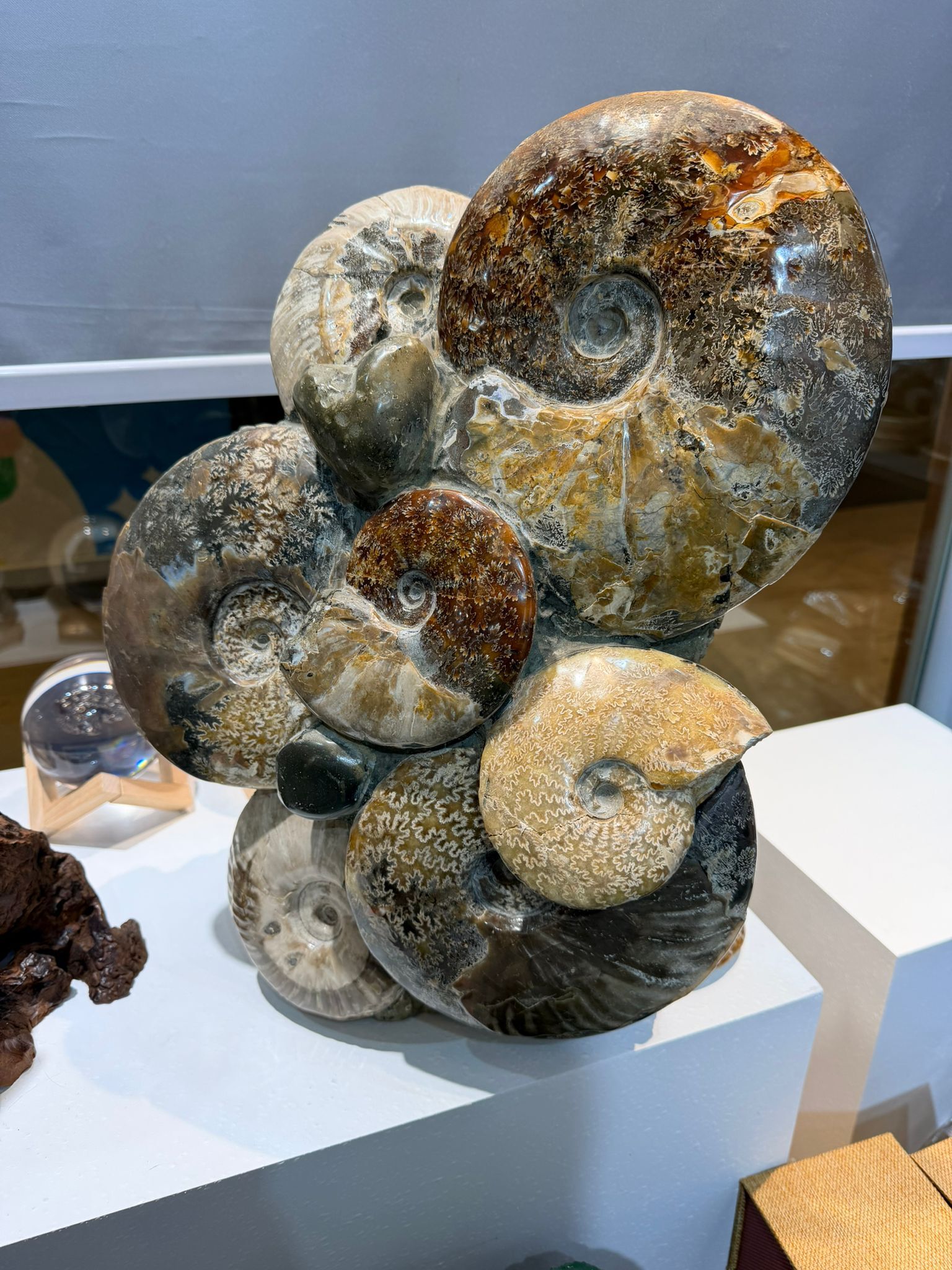 直播購買產品連結