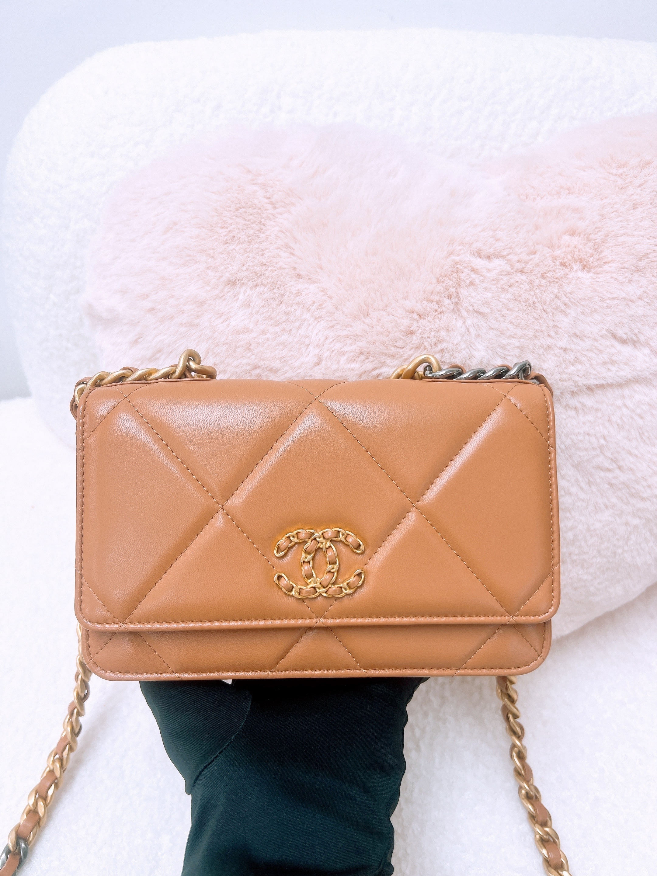 Chanel 19 woc / wallet on chain (beige)