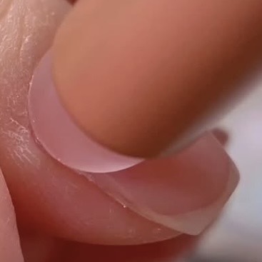 彈性海綿頭 (捽粉用)