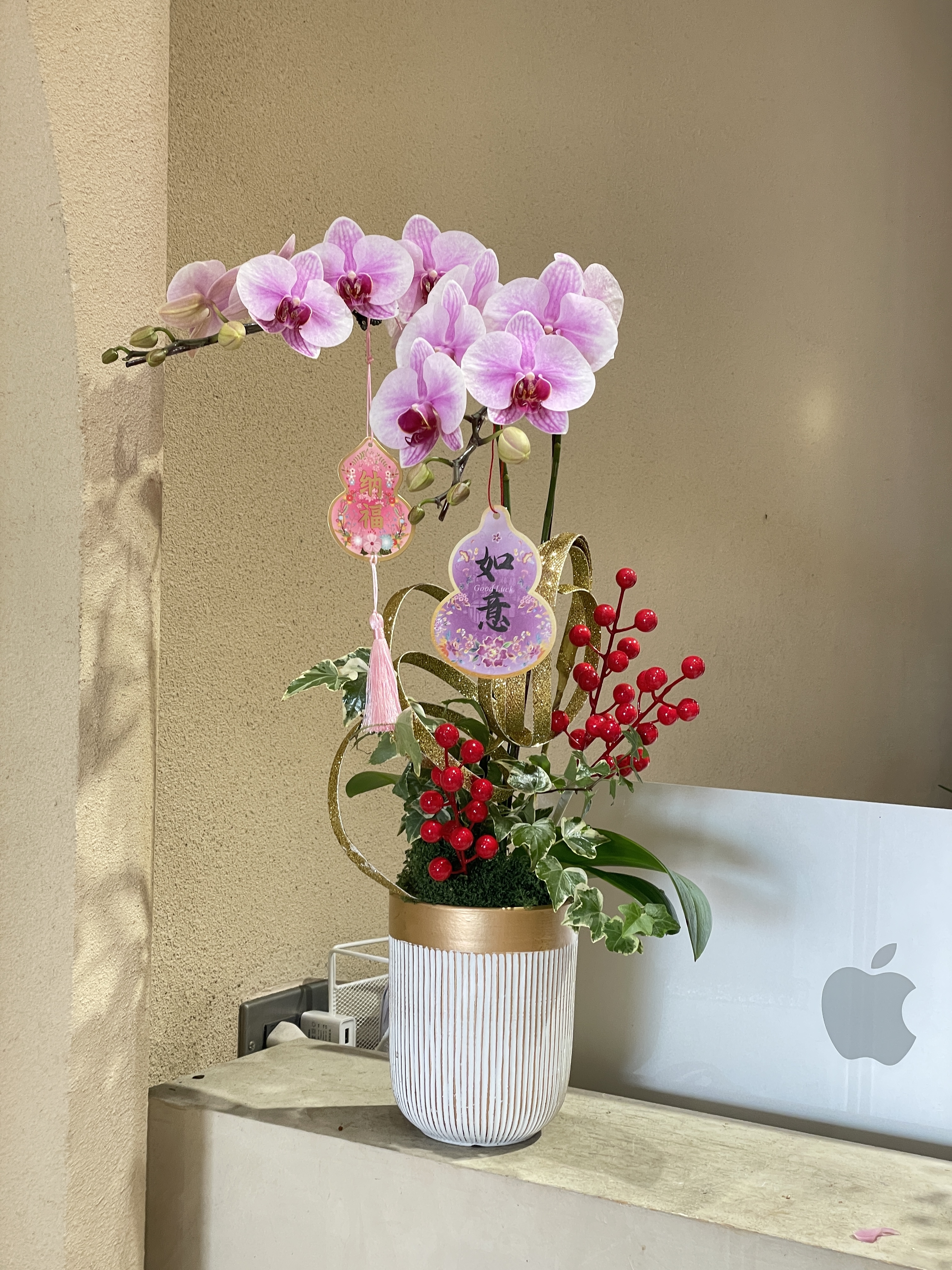 新年蘭花 馬年37