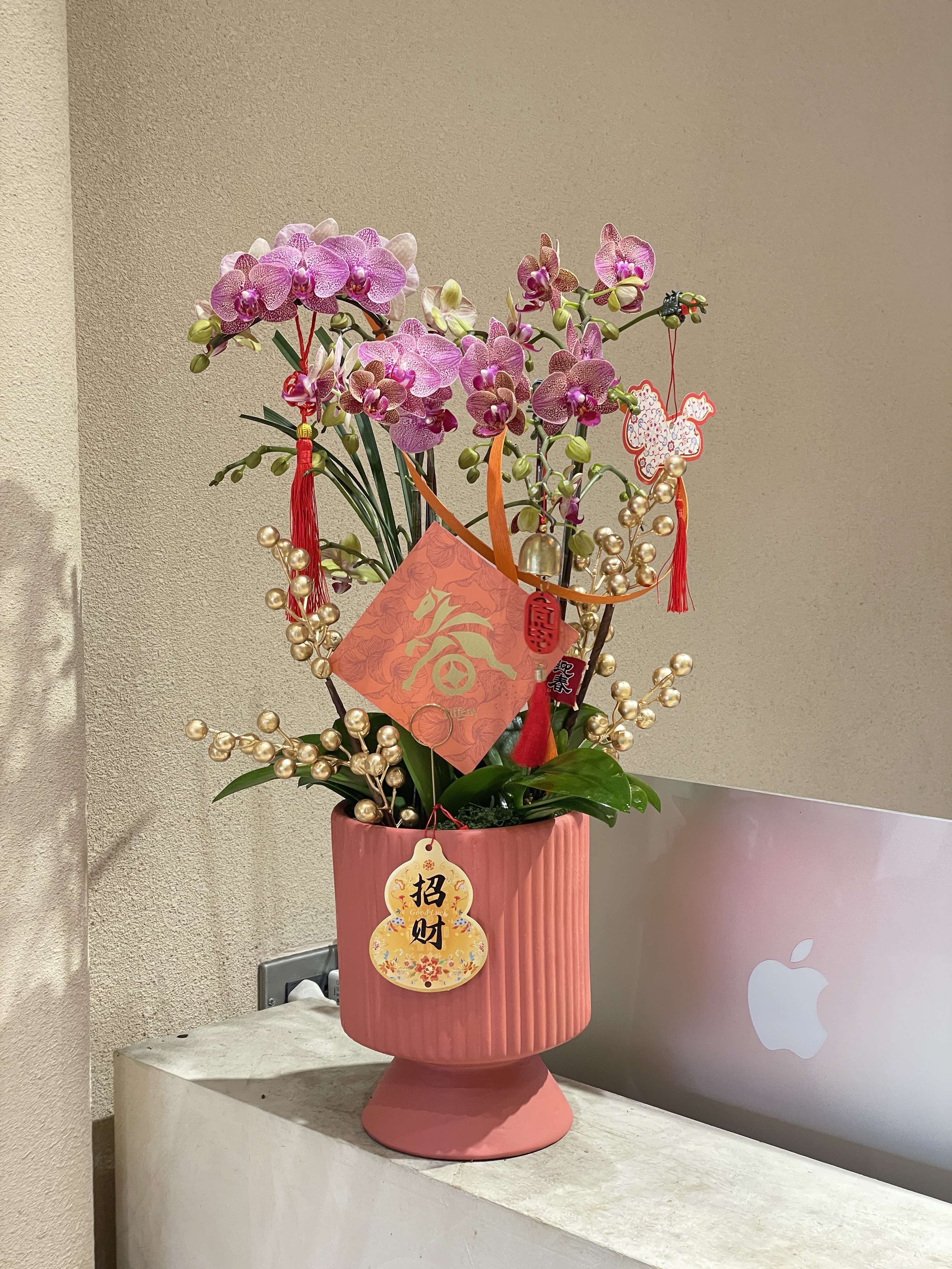 新年蘭花 馬年39