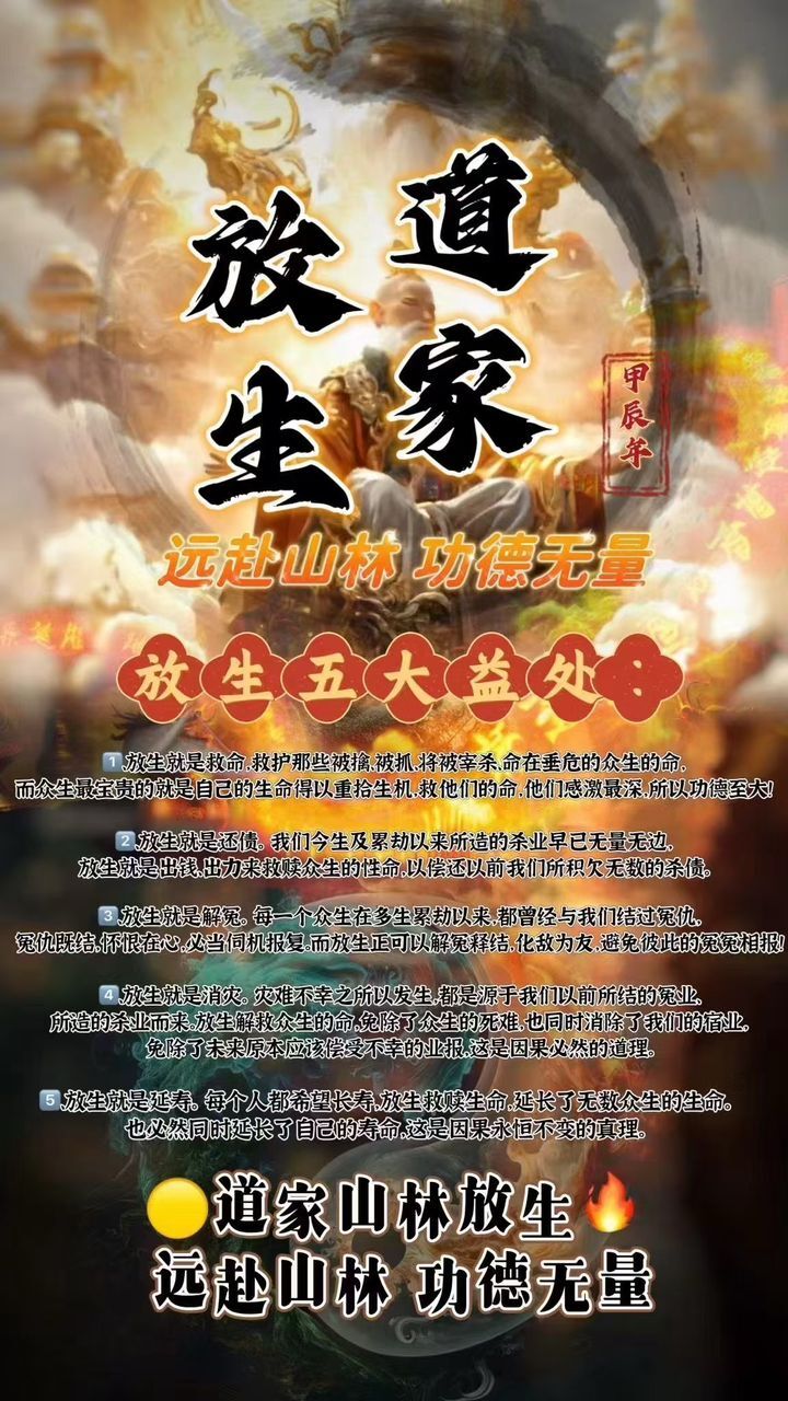 道家山林放生 功德無量