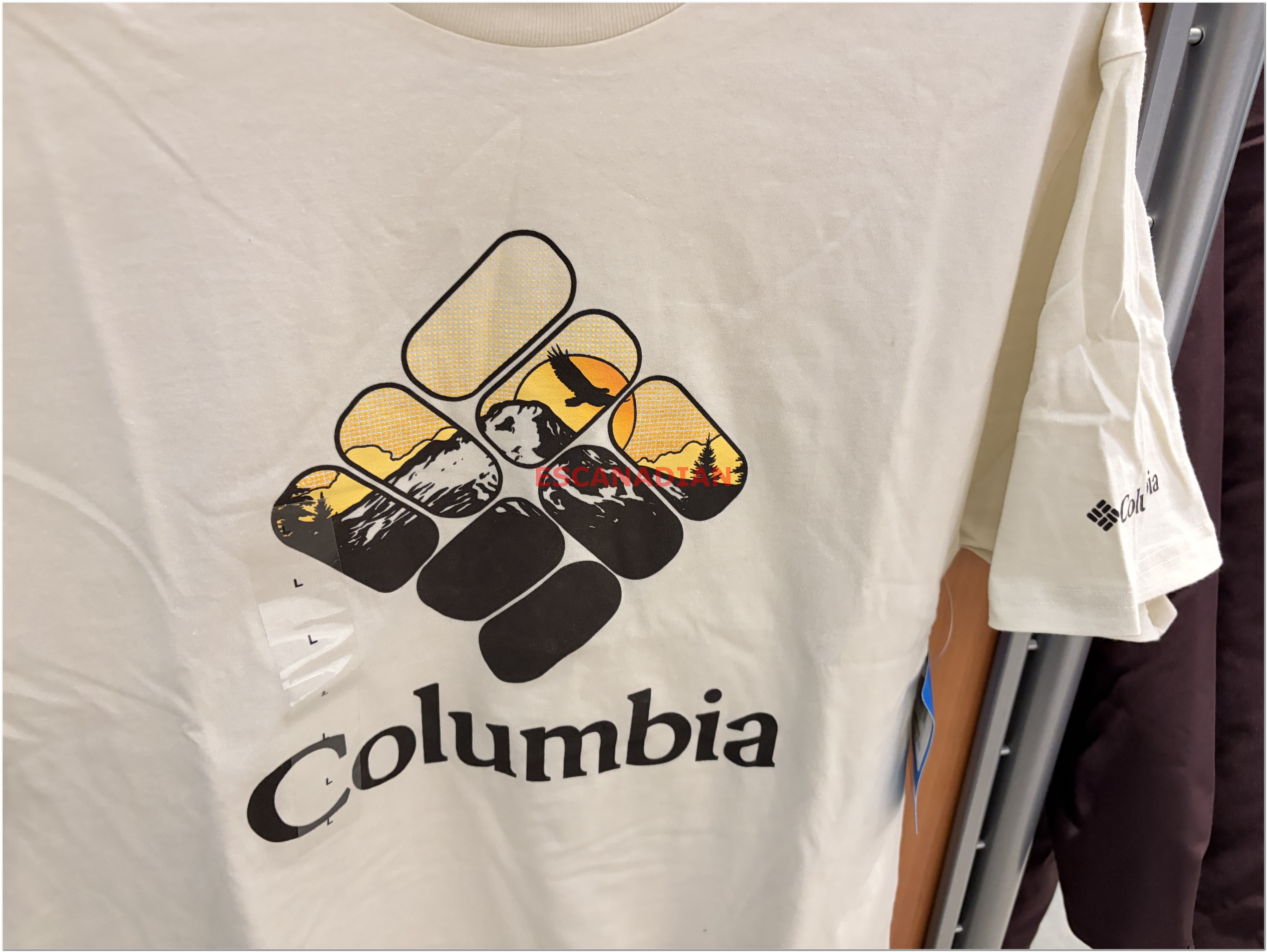 【限時】Columbia 男大人 造型Logo圖案 短TEE