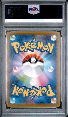 PSA 10 Rayquaza V 210/S-P Promo Dragon PKMN V Pokemon Card Japanese 2021