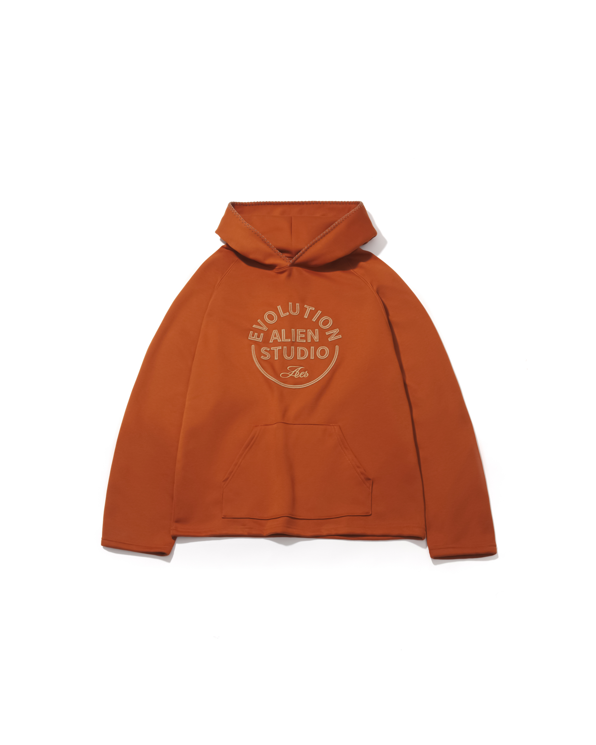 AES APPLIQUÉ EMBROIDERY HOODIE