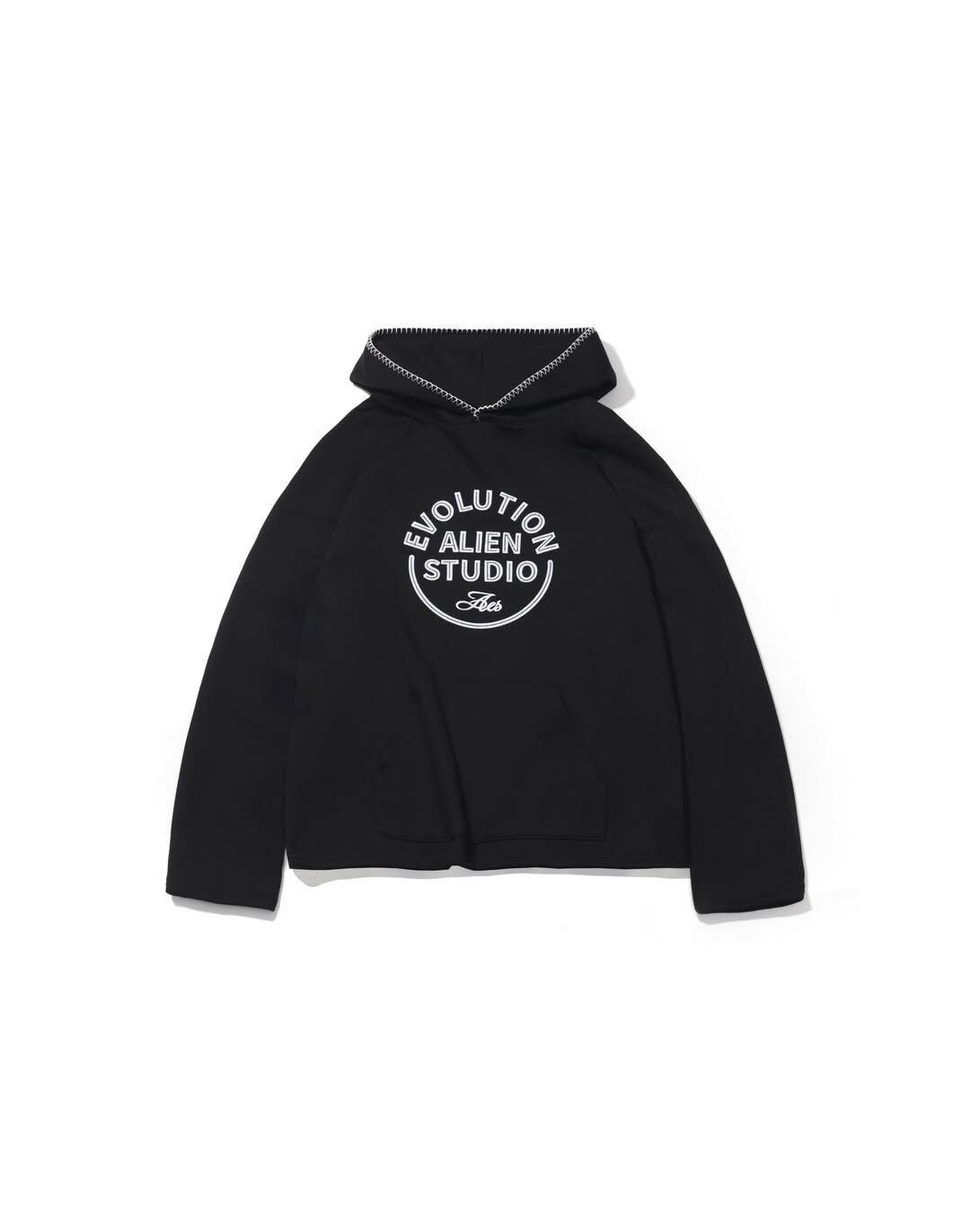 【車庫服飾】AES APPLIQUÉ EMBROIDERY HOODIE