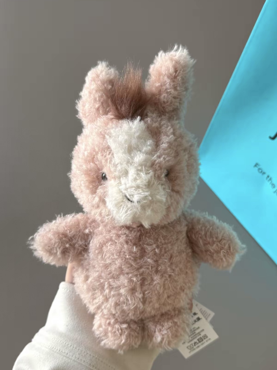 JELLYCAT 小短腿系列 🐰