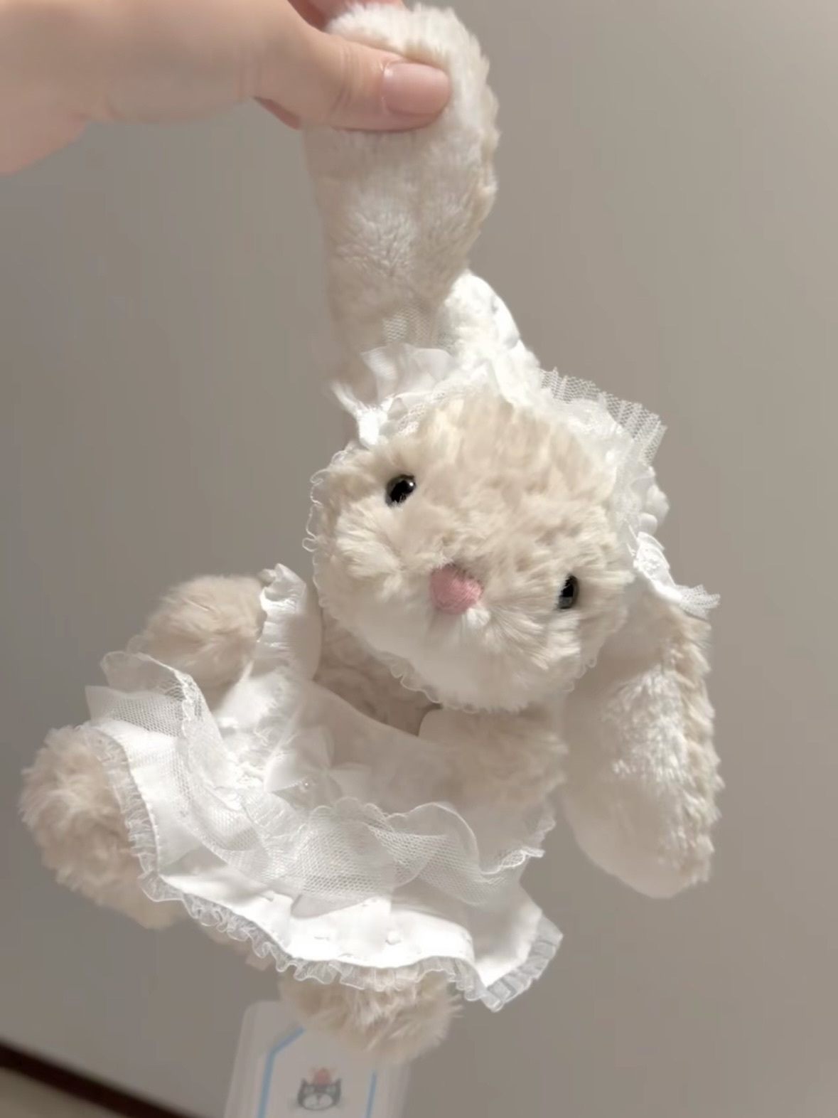 JELLYCAT 小短腿系列 🐰