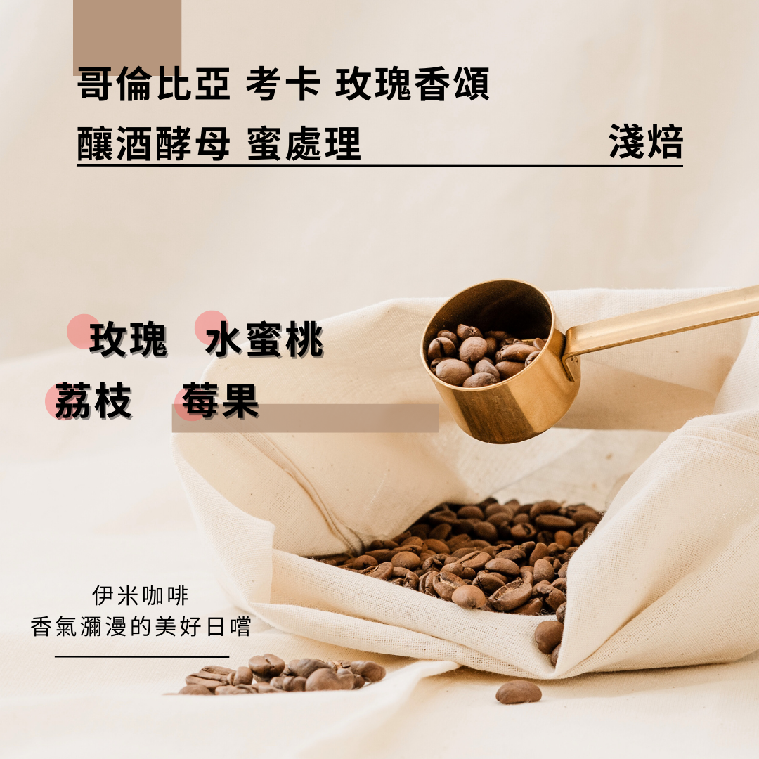 哥倫比亞 考卡  玫瑰香頌  釀酒酵母 蜜處理