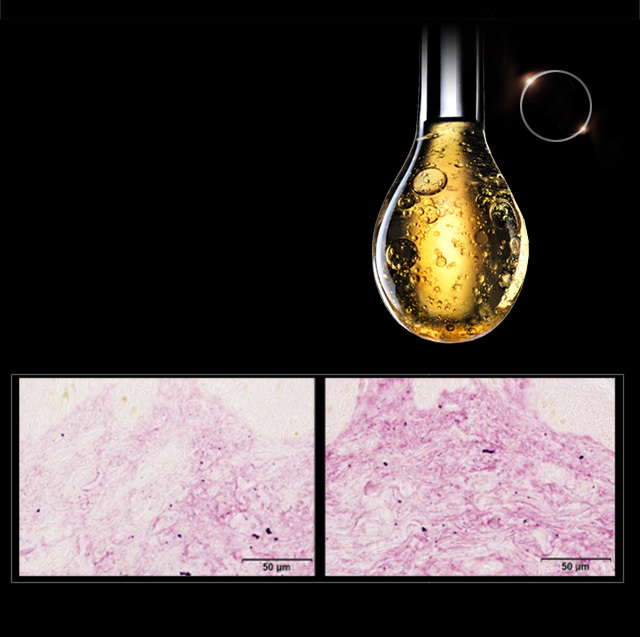 HR童顏膠原白繃帶