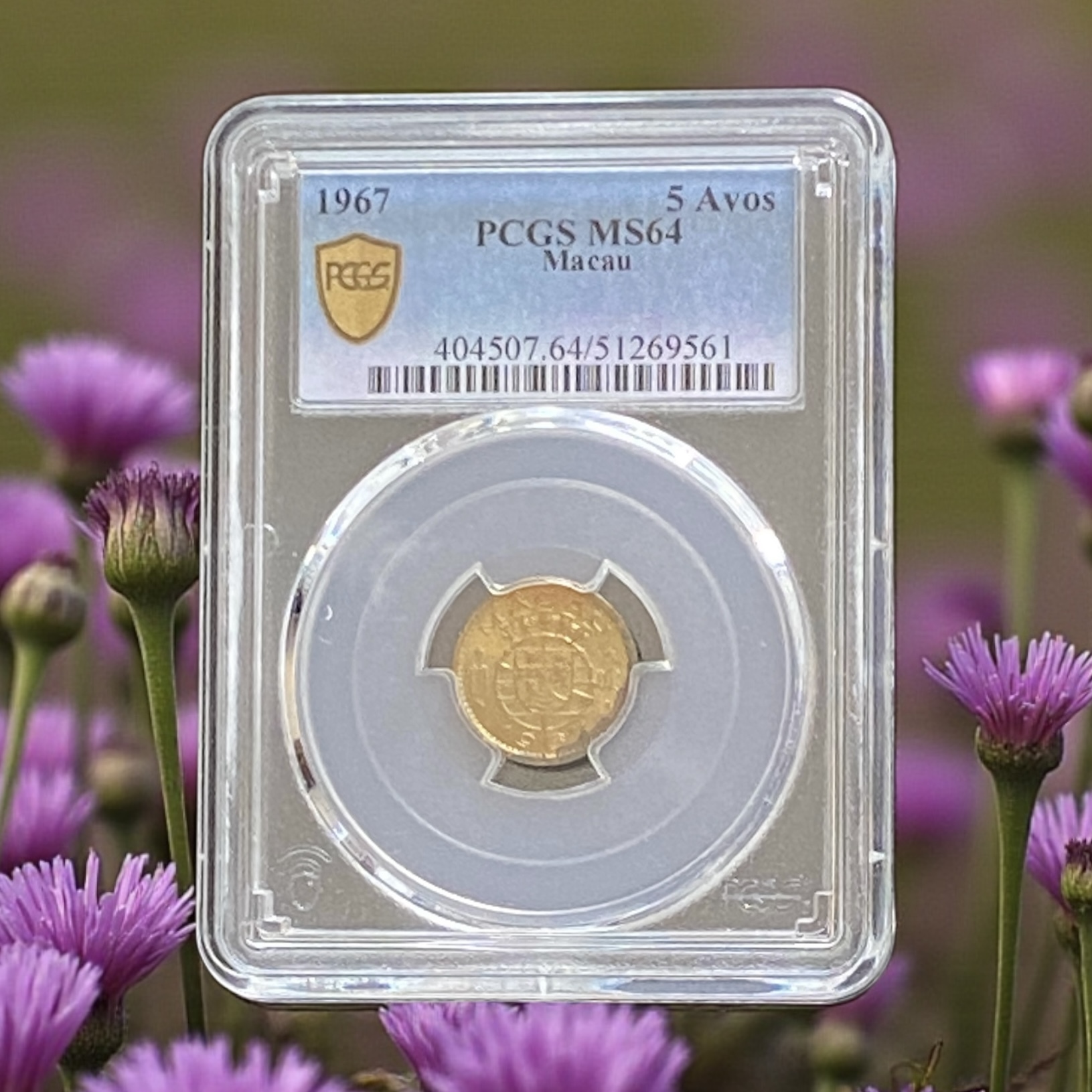 澳門 1967年 5仙 (PCGS MS 64分)