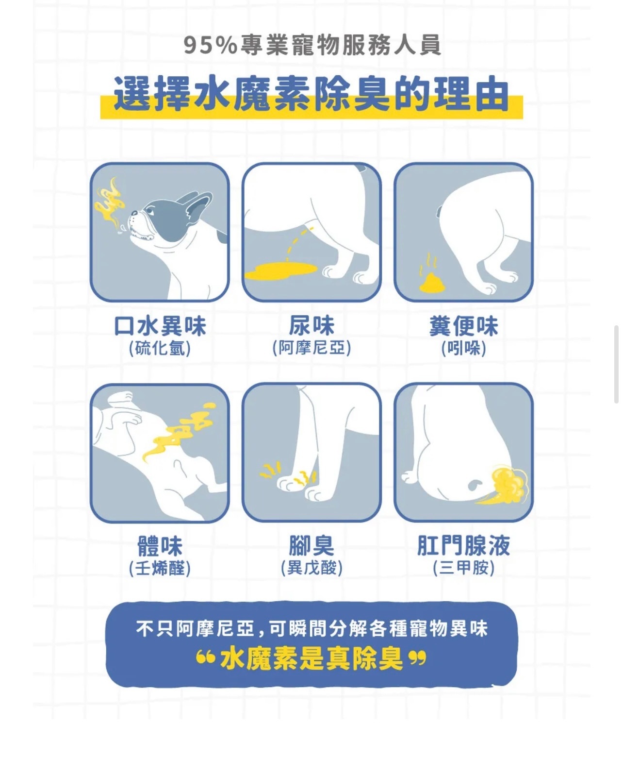 水魔素 寵物除臭濃縮液 500ml 台灣製造 | 寵物清潔 除臭香薰 | 毛孩家庭必備
