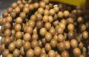 260219 - A96 8mm+桃木手串