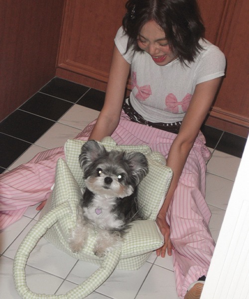 Aperty 扇貝翻玩提袋＿綠色細格紋