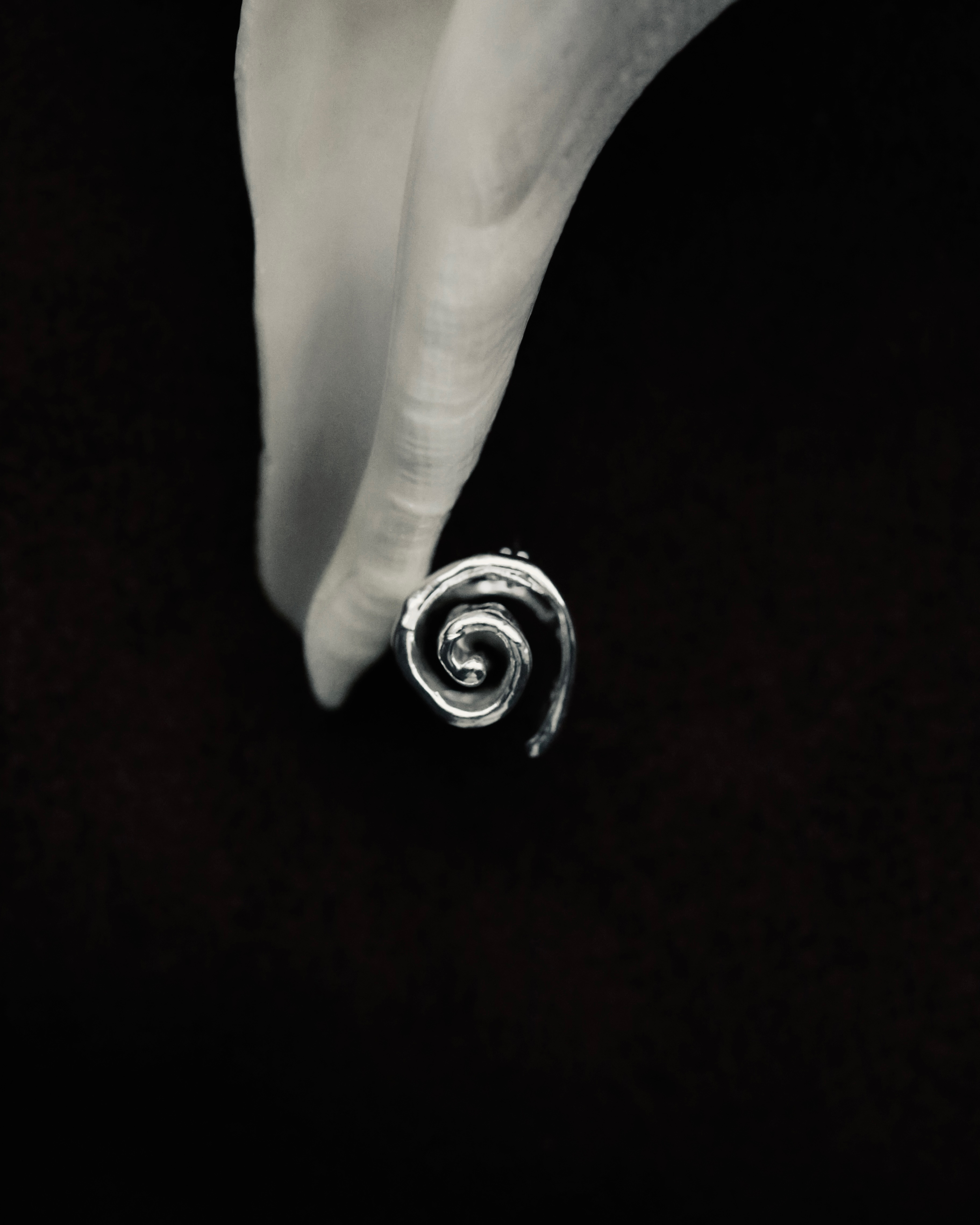 RONG 溶 Tidal Coil Earrings | 潮蜷耳環