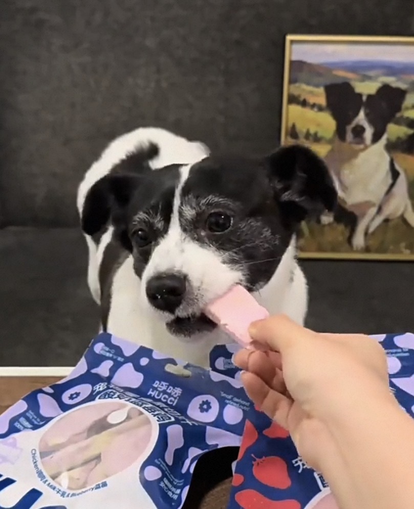 HUCCI 宠物零食原切冻干酸奶 40G