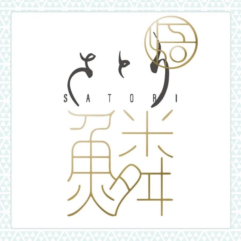 HATOPLA 鱗 UROKO 真空感日式和風飛機杯