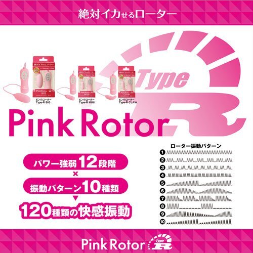 SSI JAPAN Type-R CC PINKROTOR 震動器 粉色