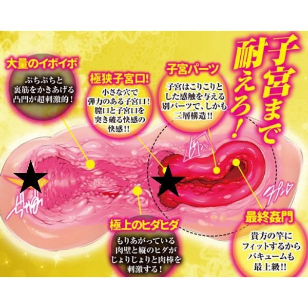 A-One 子宮姦通 模擬子宮構造究極擬真名器飛機杯