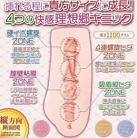 MACCOS 香格里拉少女1100 鄰居大姊姊 極致包裹感 動漫名器飛機杯