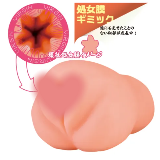 ToysHeart 純潔の蜜壺 進化 動漫飛機杯