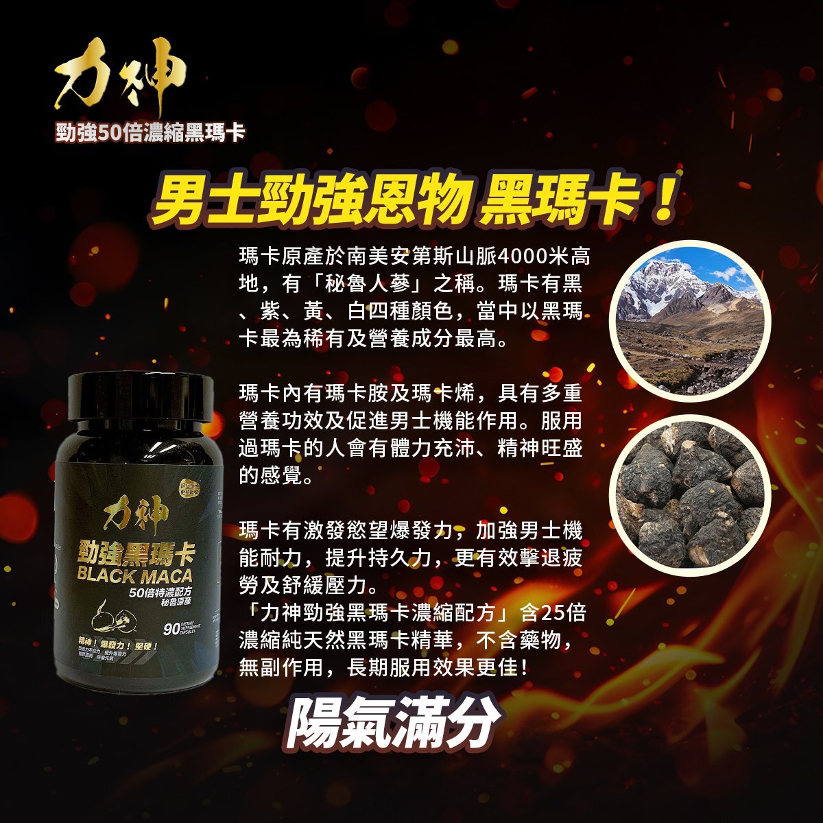 力神 黑瑪卡 50:1 濃縮配方 90粒樽裝