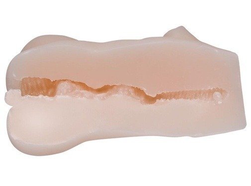 NPG 教師的教育實習 動漫名器 255g