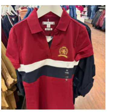 [S] TOMMY HILFIGER ROUGE BLOCK STRIPE CREST STRETCH PIQUE POLO, XW06956-600 (STH1569)