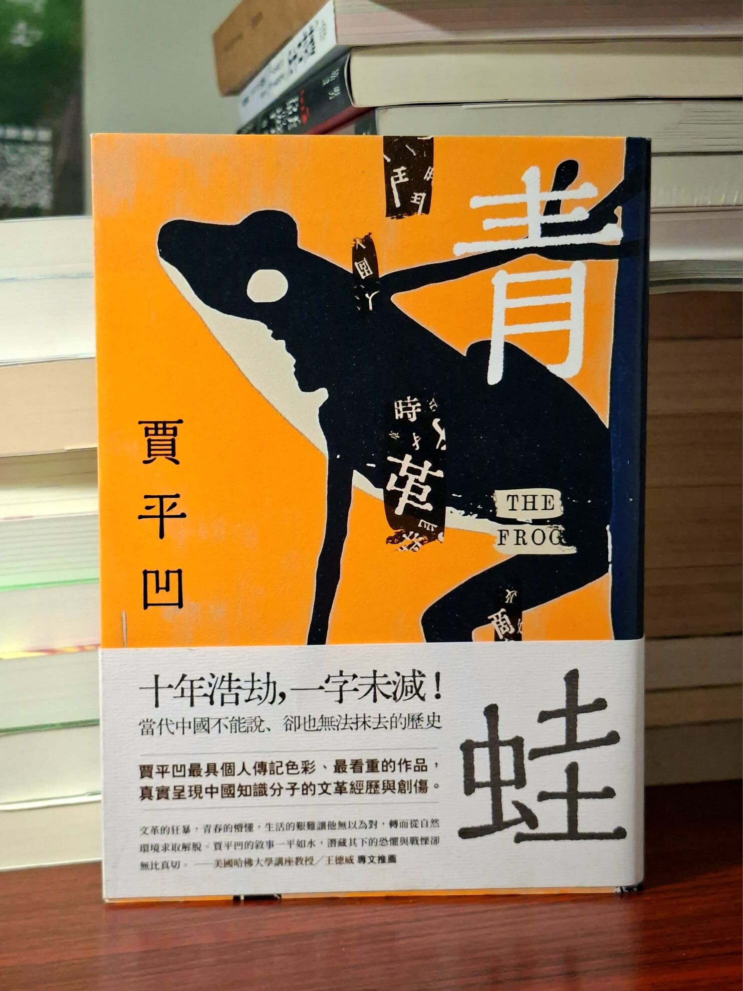 《青蛙》