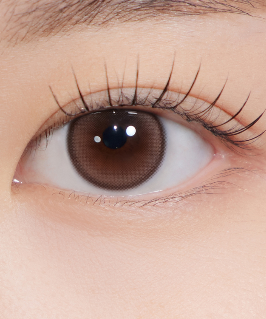 Hapa Kristin Forever Young Kristin 1Day Contact Lens - WANNABE BROWN