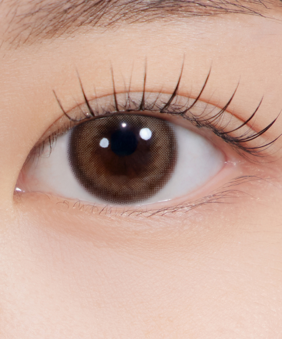 Hapa Kristin Adorable Kristin 1Day Contact Lens - BROWN