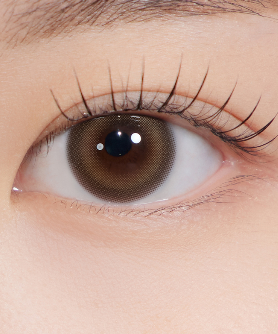 Hapa Kristin Dear Deer Kristin 1Day Contact Lens - NIGHT BROWN