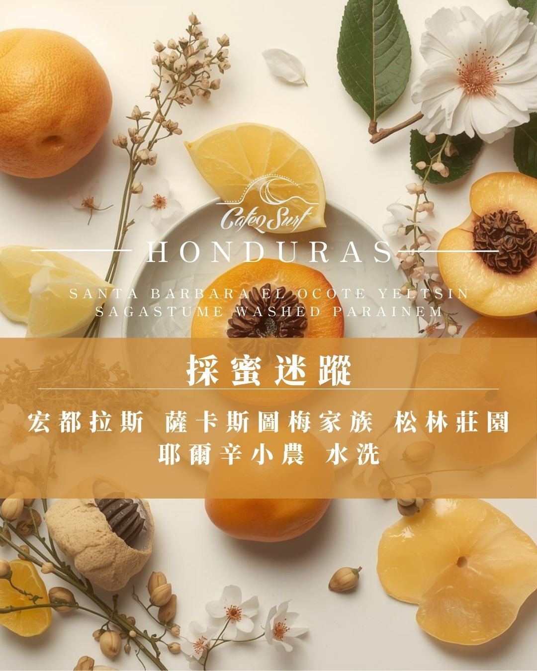 採蜜迷蹤｜宏都拉斯 聖塔芭芭拉 Parainema 水洗﹙半磅裝／227g﹚