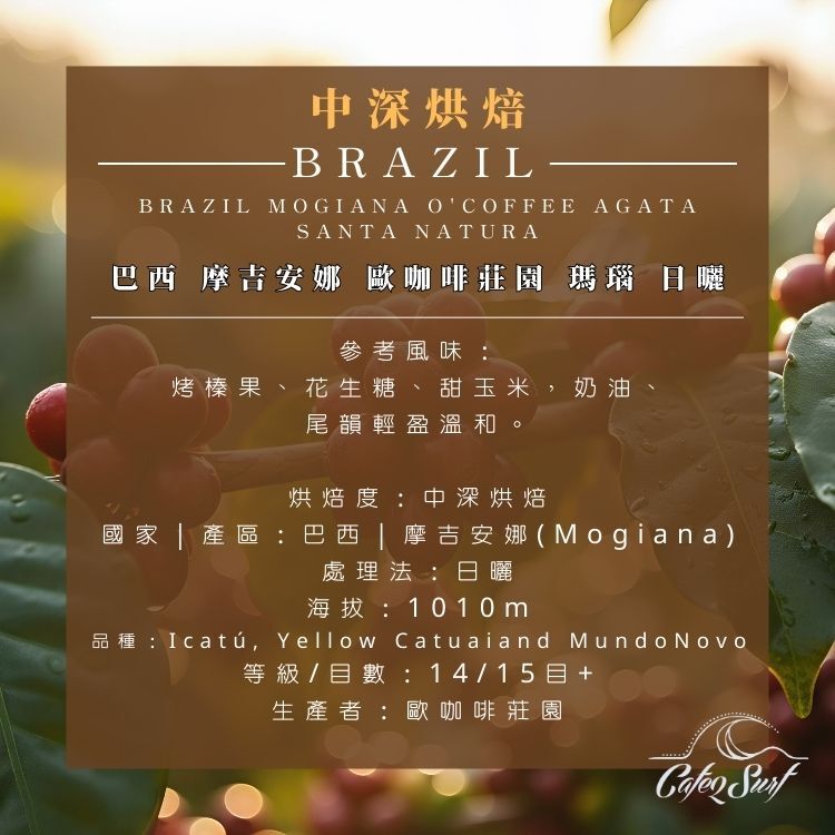 巴西 摩吉安娜｜歐咖啡莊園 瑪瑙 日曬｜堅果甜感﹙半磅裝／227g﹚