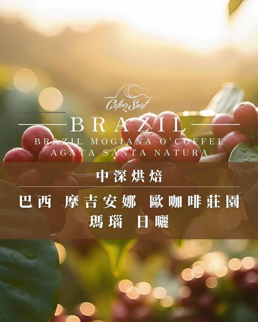 巴西 摩吉安娜｜歐咖啡莊園 瑪瑙 日曬｜堅果甜感﹙半磅裝／227g﹚