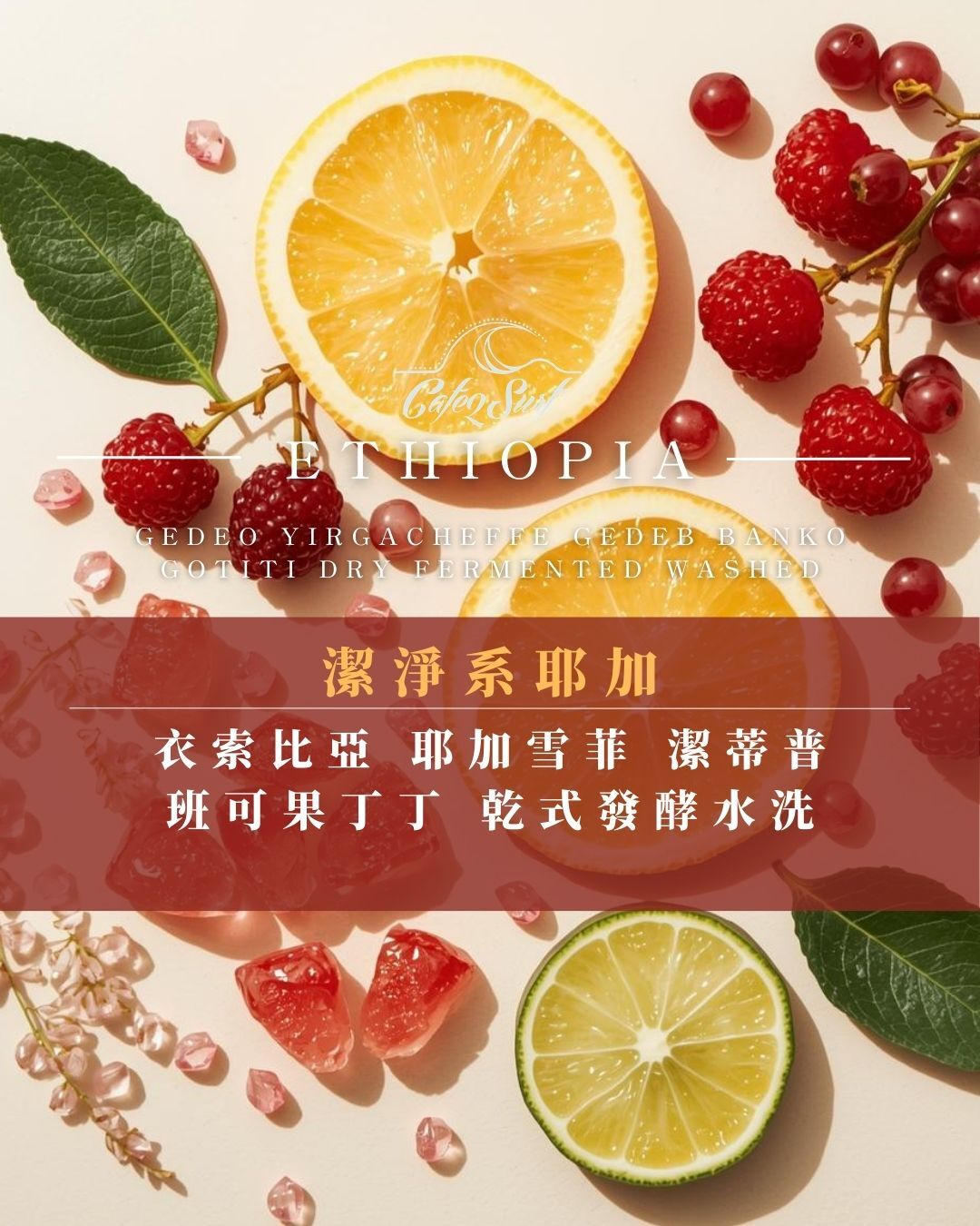 潔淨系耶加｜衣索比亞 耶加雪菲 潔蒂普 班可果丁丁 乾式發酵水洗﹙半磅裝／227g﹚